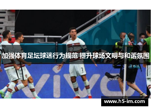 加强体育足坛球迷行为规范 提升球场文明与和谐氛围