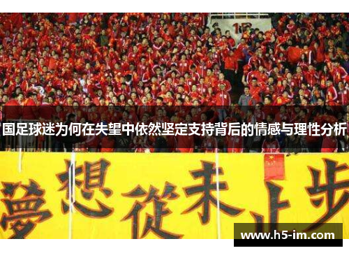 国足球迷为何在失望中依然坚定支持背后的情感与理性分析
